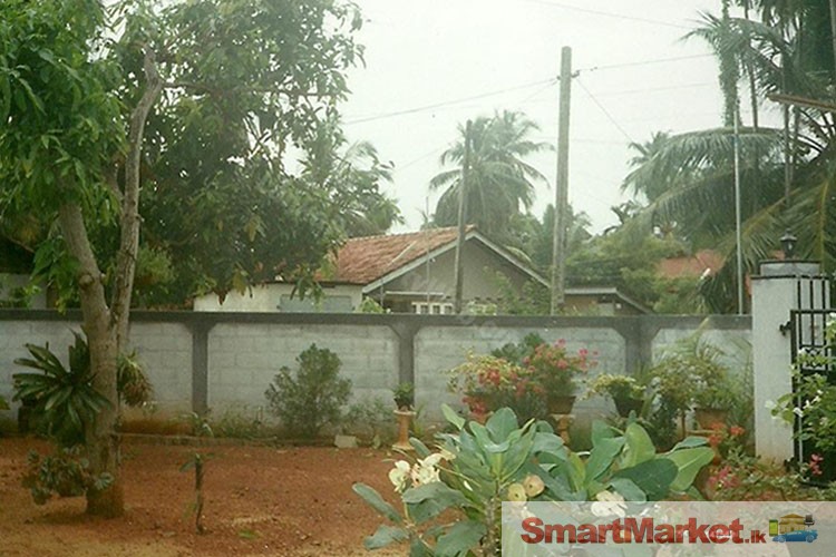 Beautiful New House for Sale or Let in Negombo