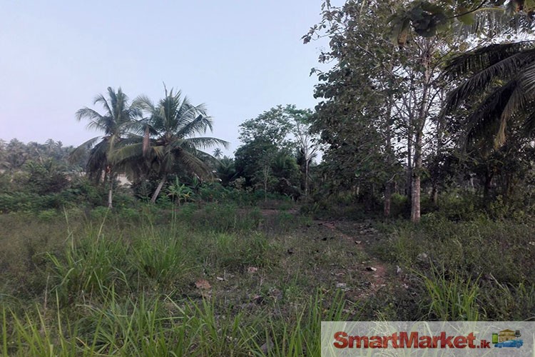 5 Acres Land for Sale in Weeraketiya,