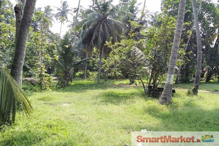 Valuable Property for Sale in Marawila