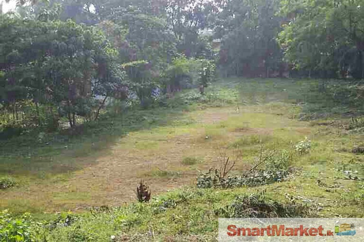 74 Perches Commercial/Residential land Available for sale in Panadura
