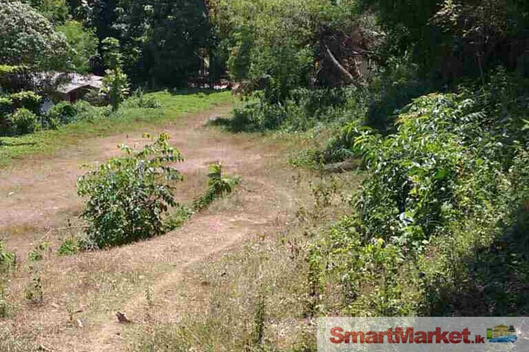 74 Perches Commercial/Residential land Available for sale in Panadura
