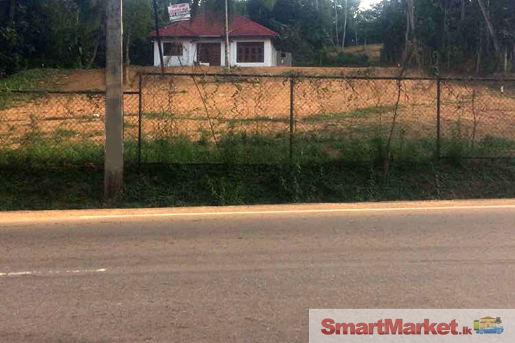 126 Perches Valuable Land for Sale at Matara
