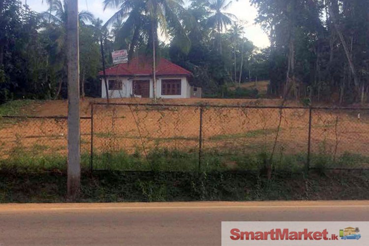 126 Perches Valuable Land for Sale at Matara