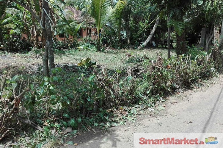 7.5 Perches Land For Sale In Yakkala, Miriswatta, Close to Kandy Road.