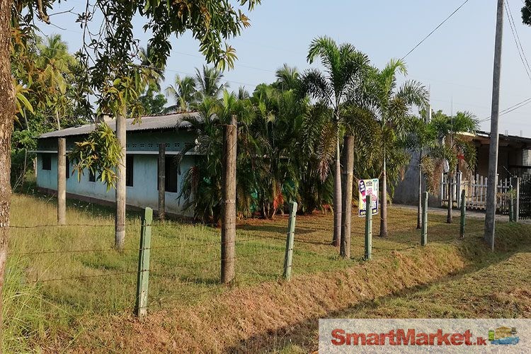 82 Perches Land with House for Sale in Maho, face Colombo main road