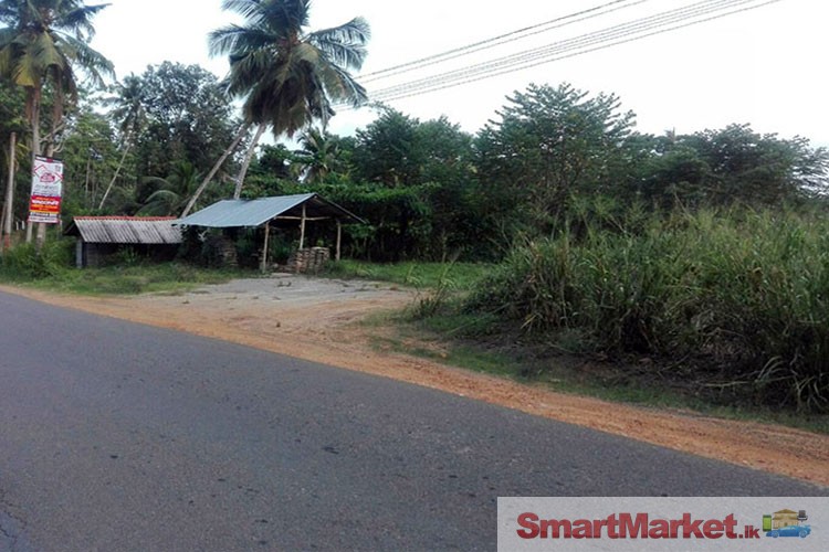 76 Peaches commercial Land for sale in Rathmale, Matara.