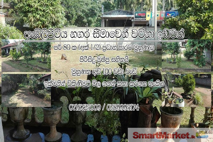 Commercial cum Residential Land for Sale in Embilipitiya, facing main Road.