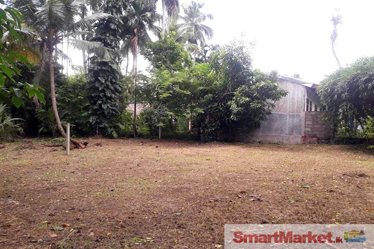 Land for Sale situated at Parackrama Road, Gampaha