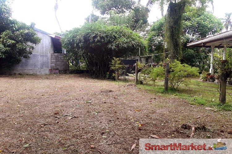 Land for Sale situated at Parackrama Road, Gampaha