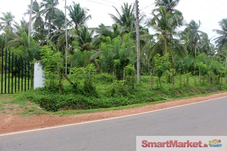 7.5 Acres Land for Sale in Pannala