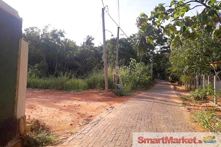 Commercial Land For Sale in Dambulla