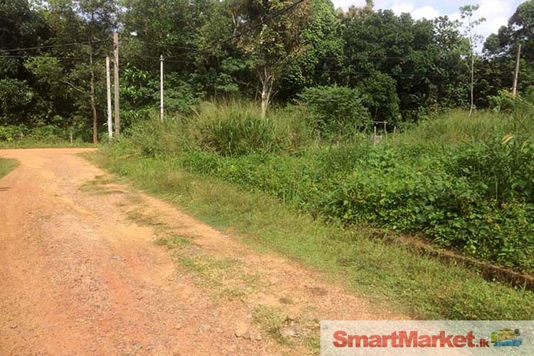 12.5 Perches Residential Land Available for Sale in Dompe.