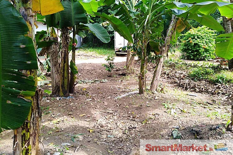 10.8 Perches Land for Sale in Ragama