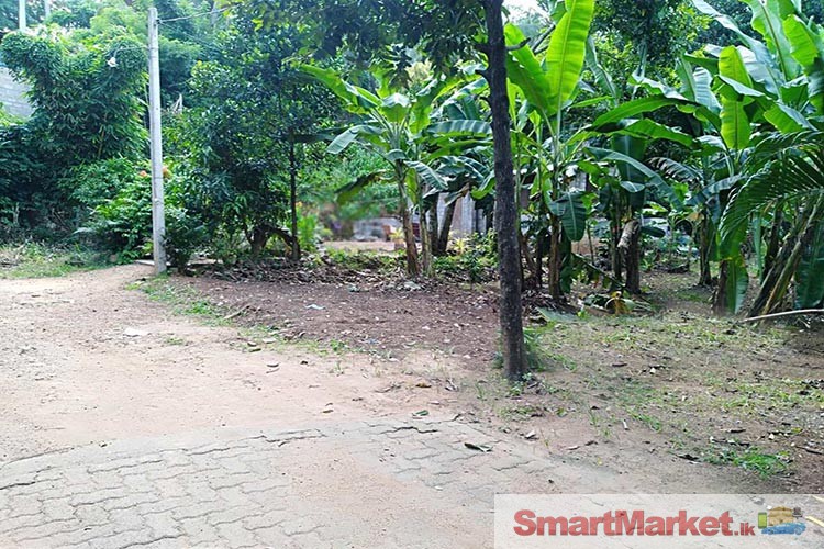 10.8 Perches Land for Sale in Ragama