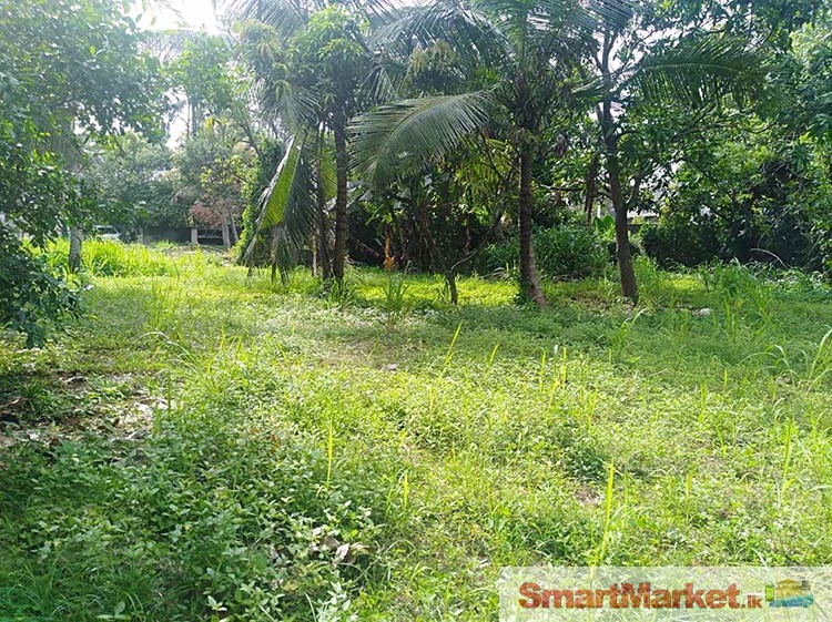 31 Perches Land for Sale in Dalugama, Kelaniya