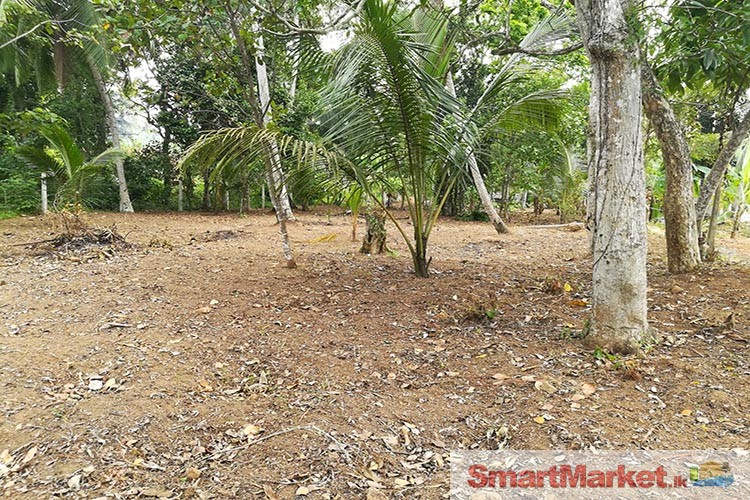 Valuable 40 Perches Land For Sale in Yakkala