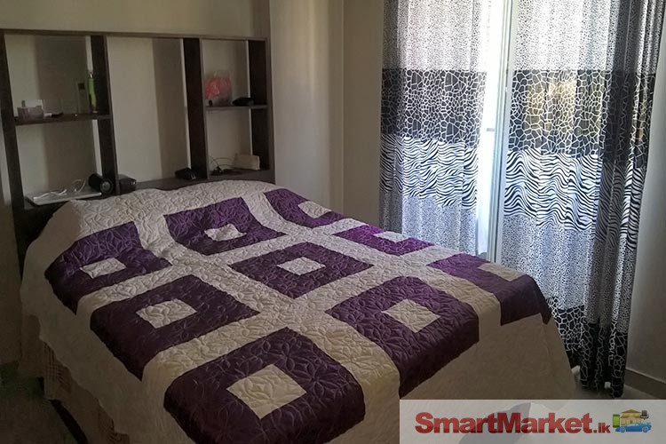 Fully Furnished 3 Bedrooms apartment on Rent in Moratuwa