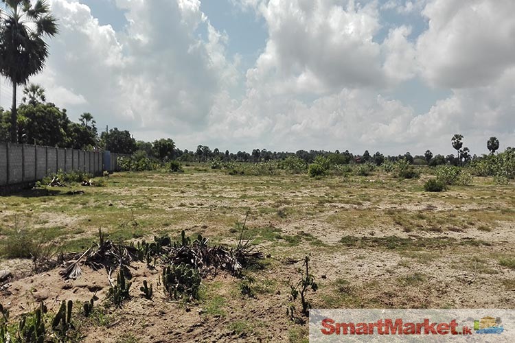 Flat Bare Lands for Sale in Pasikuda and Eravur