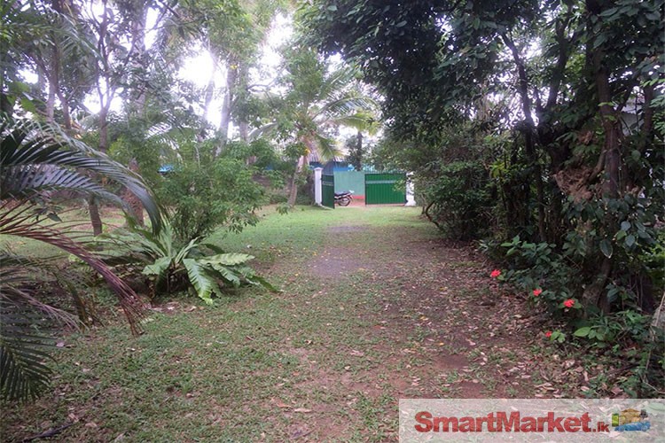 Valuable Property for Sale in Enderamulla, Wattala.