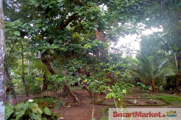 18 Perches Residential Land for Sale in Yakkala City