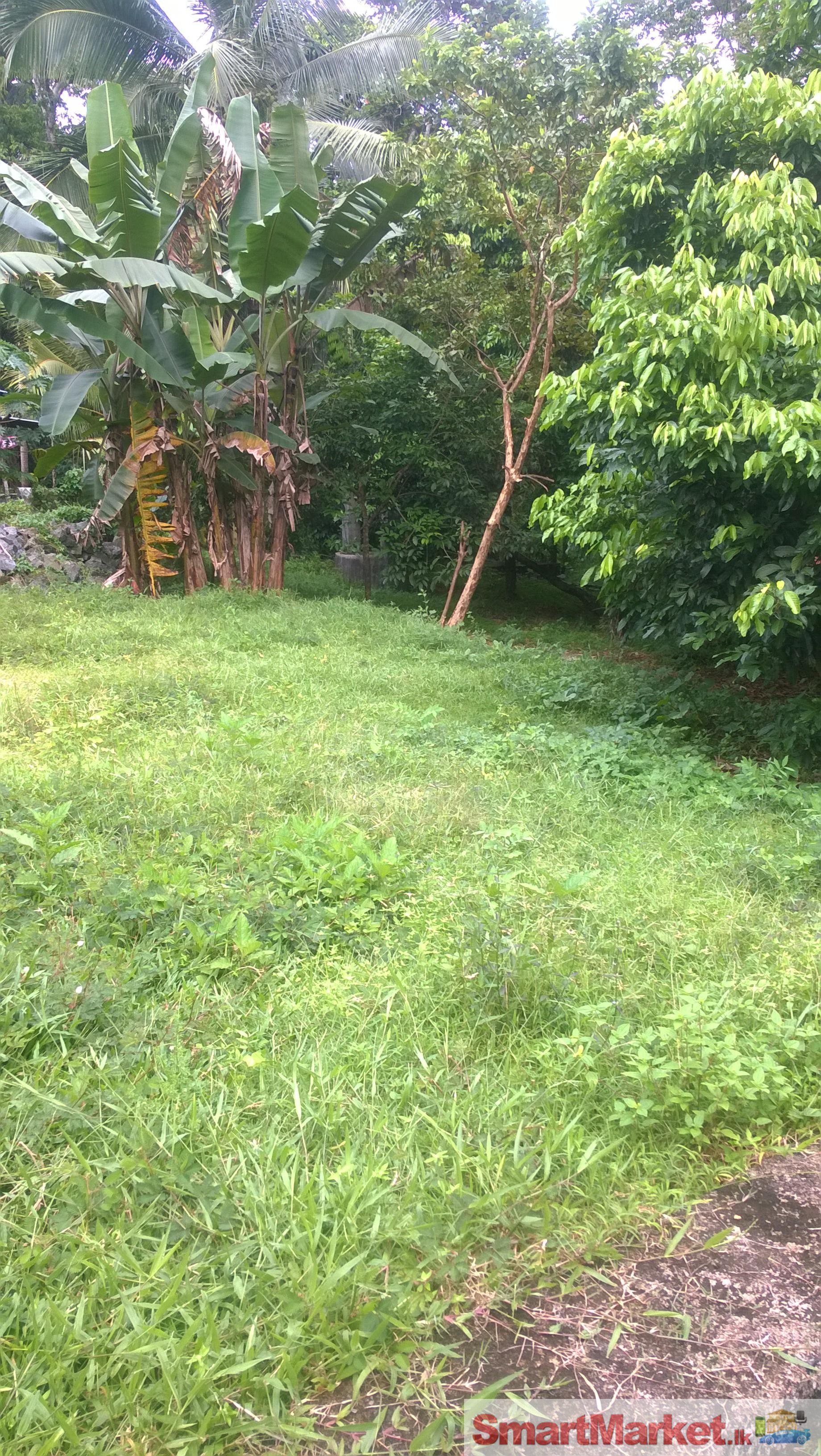 Land for Sale at Kaluaggala