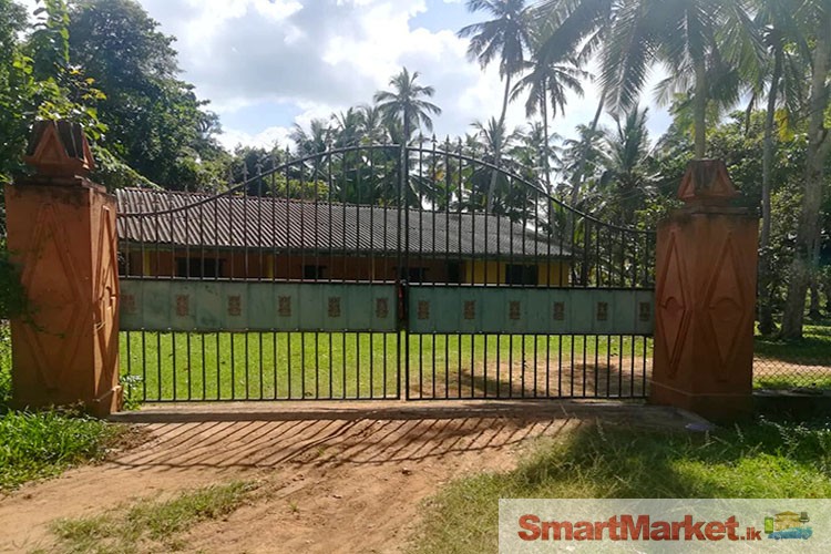 740 Perches Coconut Land With House for Sale in Kuliyapitiya, Weerambuwa.
