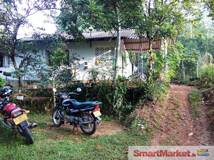 73 Perches Land with House for Sale in Galagedara, Padukka