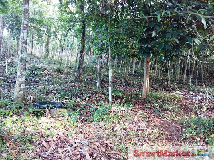 73 Perches Land with House for Sale in Galagedara, Padukka