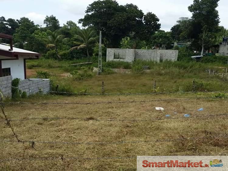 Land for Sale in Thalagala