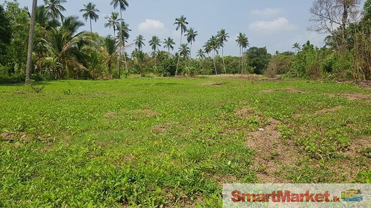 92 Perches Land for Sale in Weerambuwa, Kuliyapitiya.