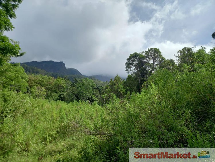 Land with a Panoramic view for sale in Belihuloya