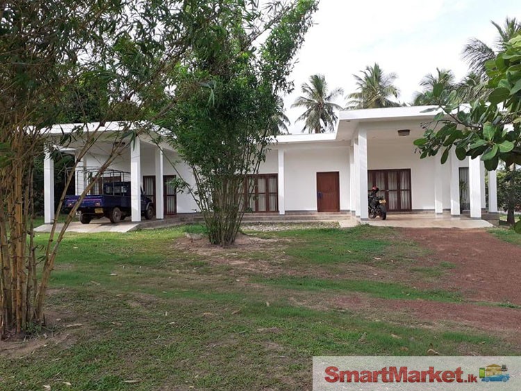 Valuable Property for sale in Pallama, Chilaw.