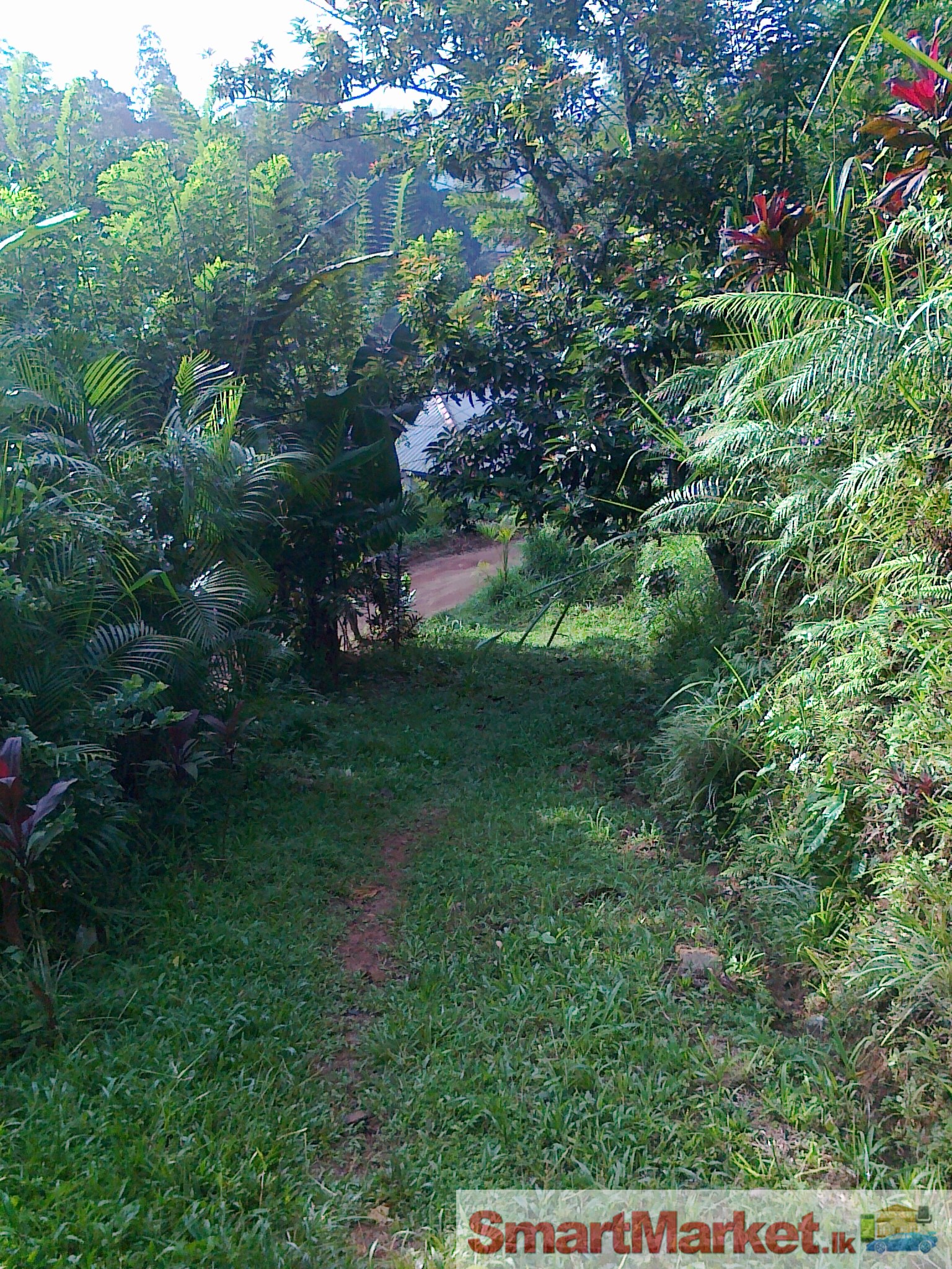 A Land in Gampola..