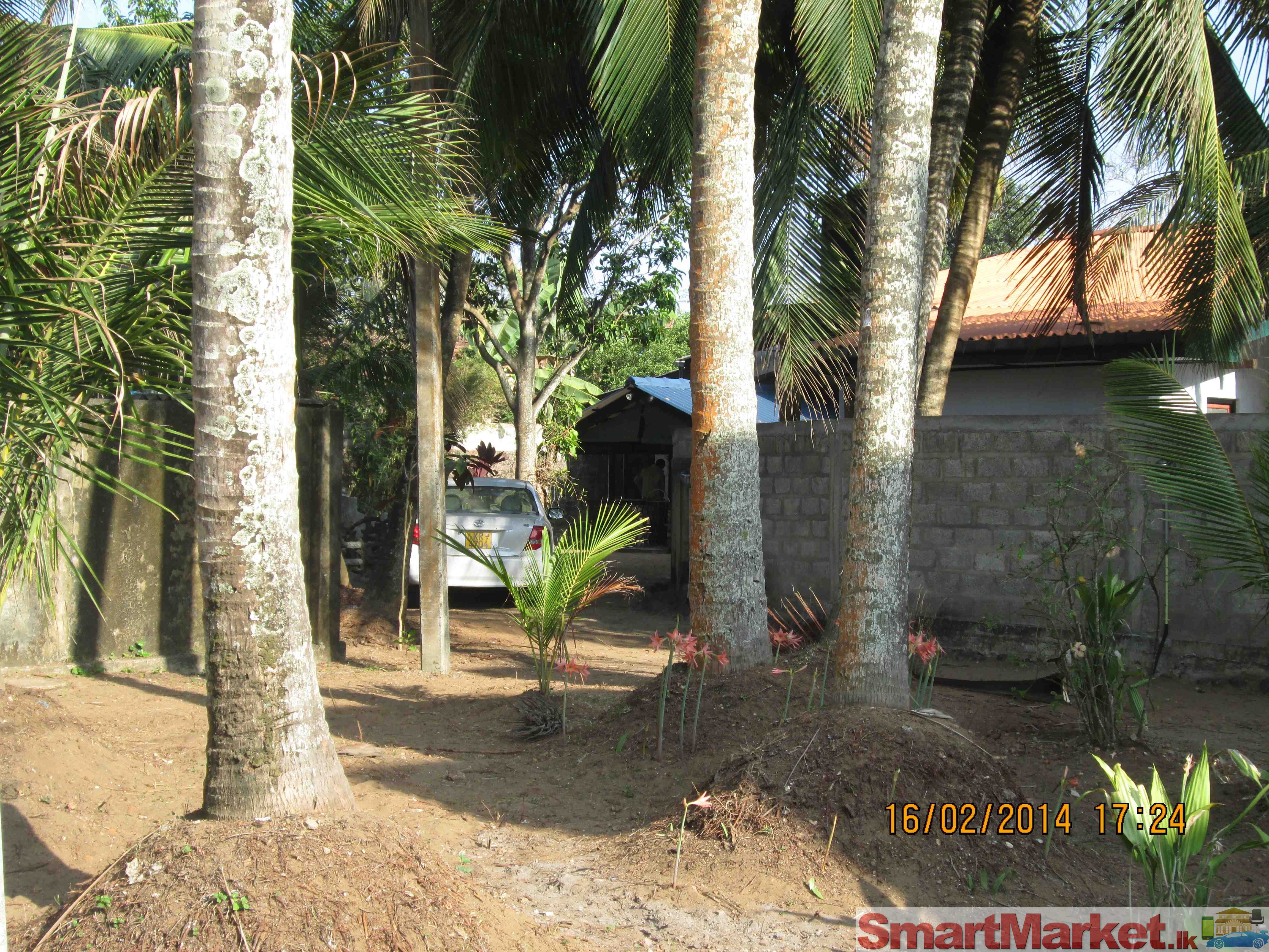 A Holiday House for Lease in Kalutara North