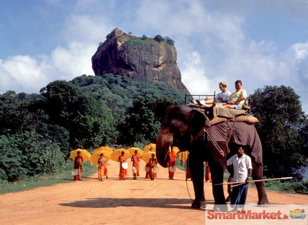 Looking for holiday in Sri Lanka