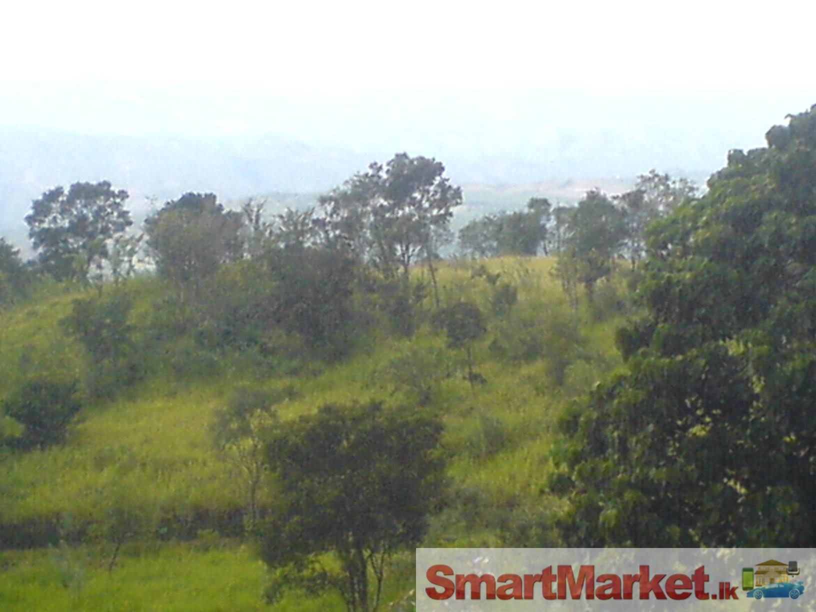 Scenic land (173 perches) with stream suitable for holiday resort with clean title in Lower Blackwood, Beragala (Haputale)