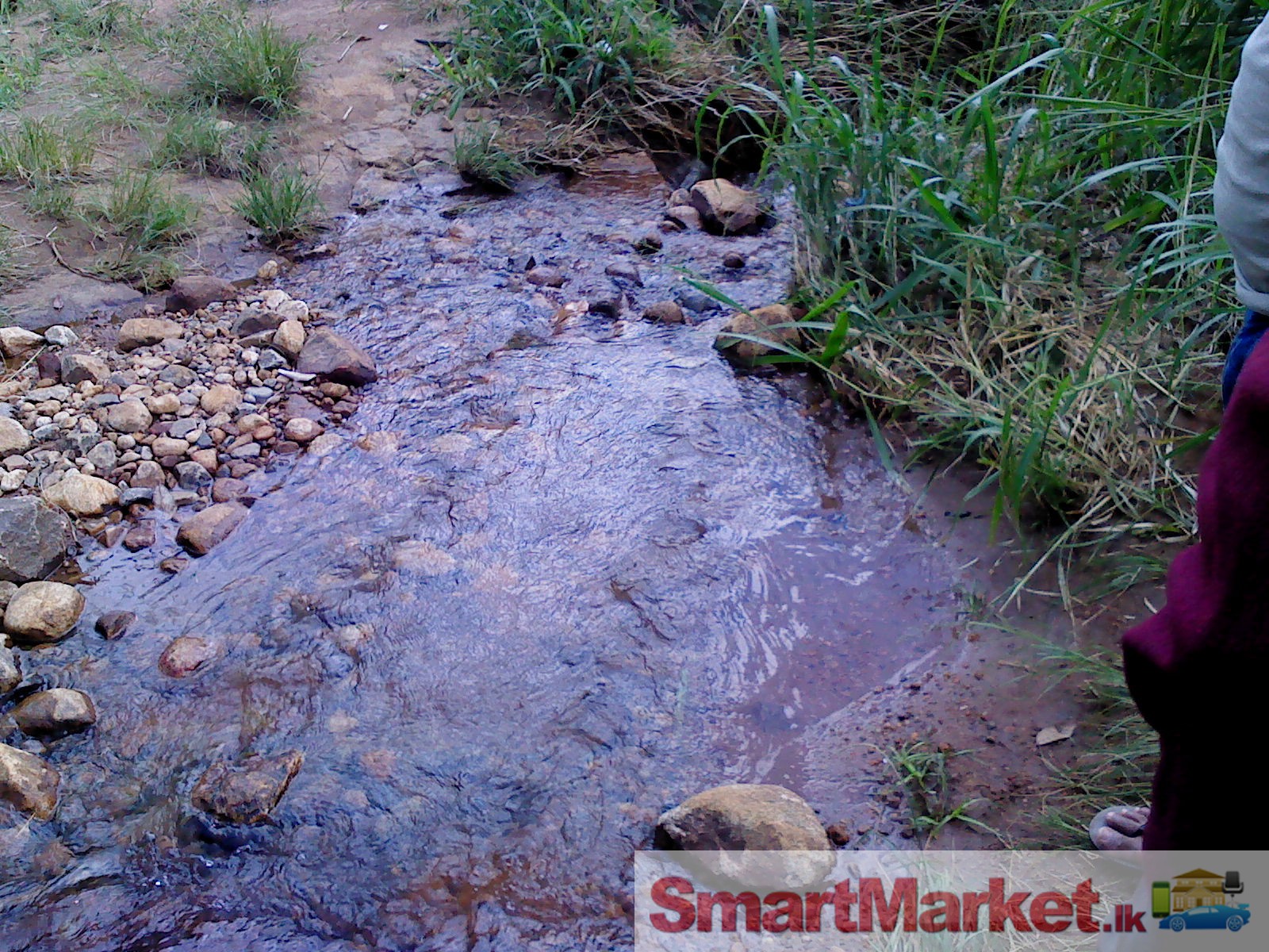 Scenic land (173 perches) with stream suitable for holiday resort with clean title in Lower Blackwood, Beragala (Haputale)